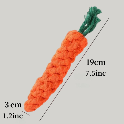 Milio Carrot Dental Toy